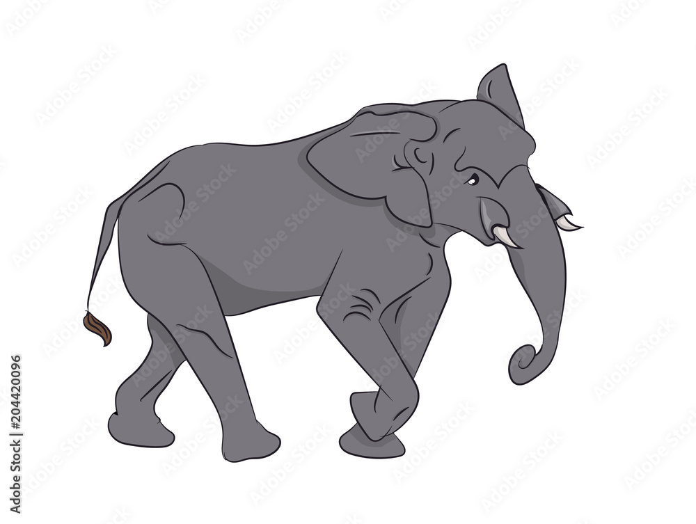 Fototapeta premium elephant, color vector