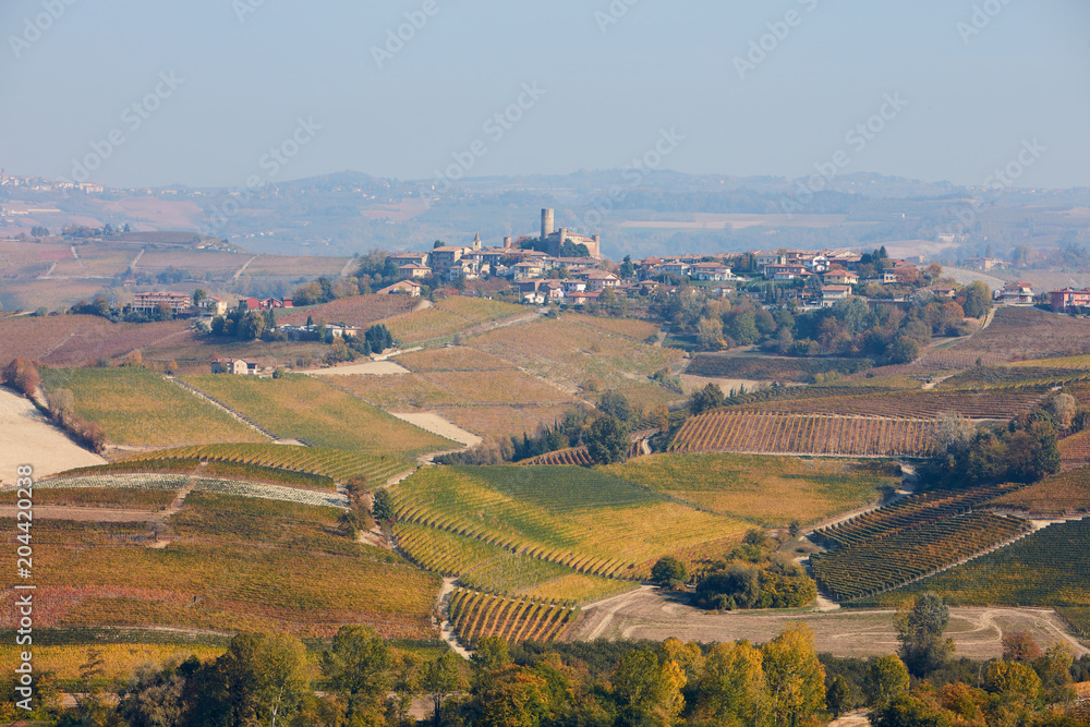 Serralunga d'Alba town on the hill surrounded by vineyards and fields in autumn, Italy
