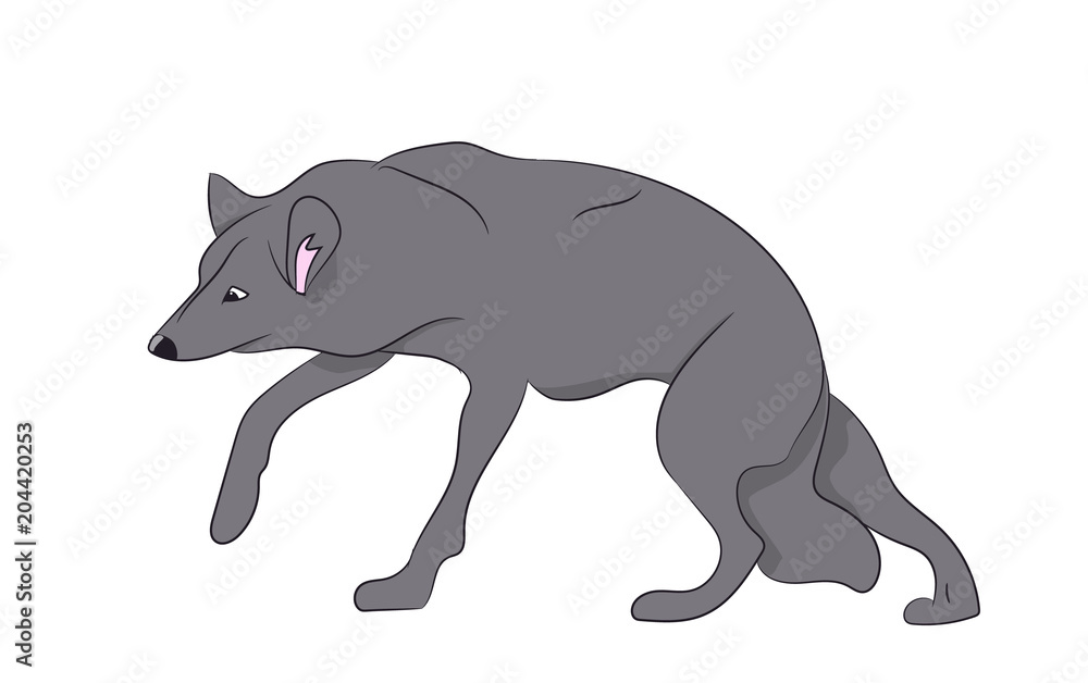 Fototapeta premium wolf vector illustration