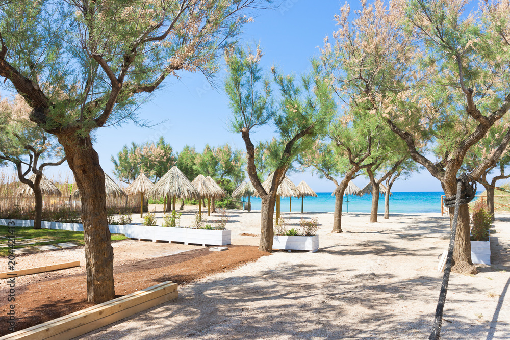 Spiaggia Terme, Apulia - Trees and sunshades at the beach