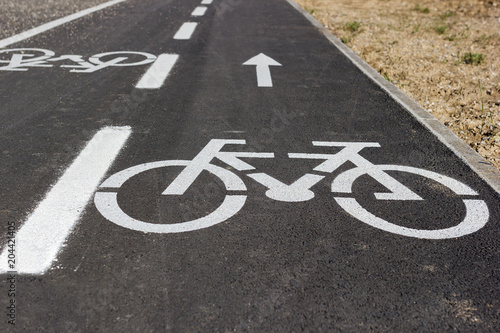 Bicycle lane with big white painted bike sign © Marina P.