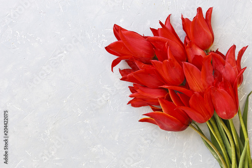 Close-up of beautiful red tulip flowers on gray background. Top view, selective focusConcept for Mother's Day, Valentine's Day and other celebrations. photo