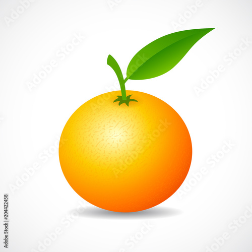 Tangerine vector icon