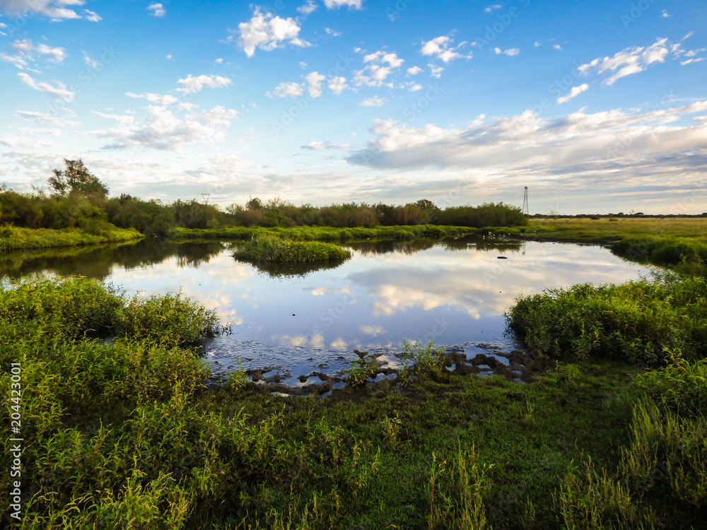 A view of the pampa biome, clouds reflecting on small pond - Uruguaiana, Brazil
