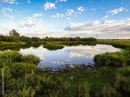 Fototapeta Naklejka Na Ścianę i Meble -  A view of the pampa biome, clouds reflecting on small pond - Uruguaiana, Brazil