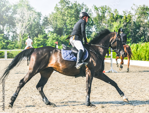 Showjumping competition, bay horse and rider in black uniform performing jump over the bridle. Equestrian sport background. Beautiful horse portrait during show jumping competition.