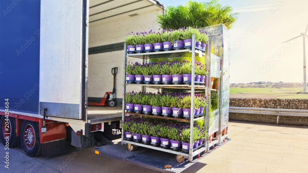 Open delivery truck loaded with pot plants pallets . There is a loading to the truck trailer .