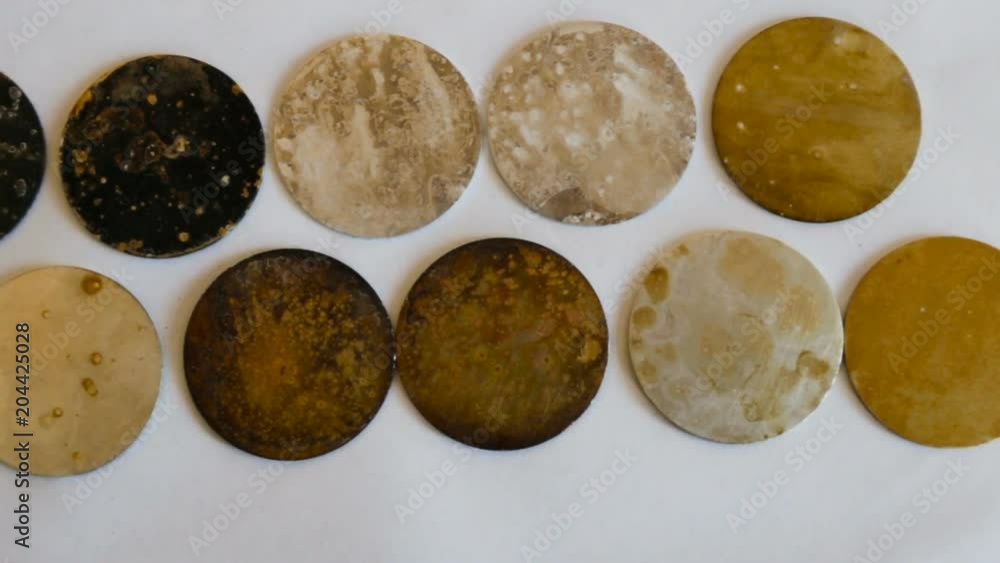 Sample metal round shape with different degrees of corrosion. Top view ...