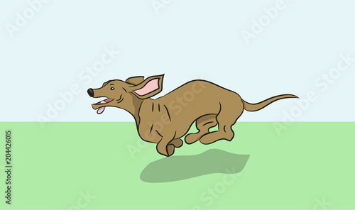 dachshund dog running, vector