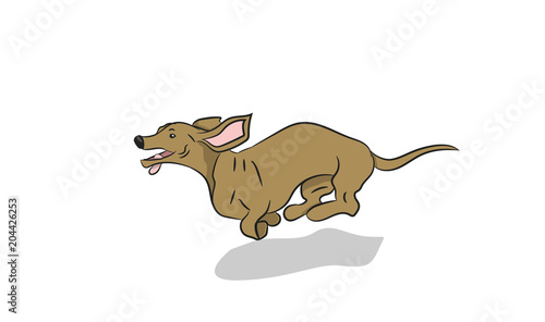 dachshund dog running, vector