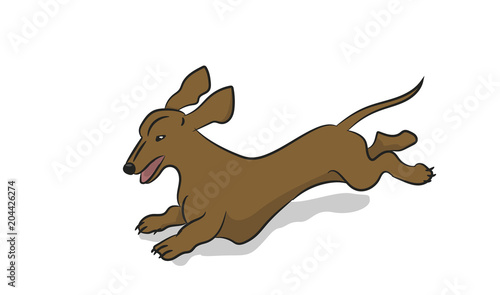 dachshund dog running, vector
