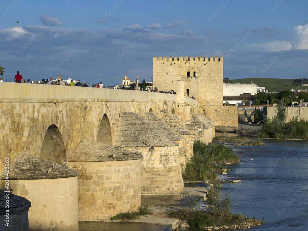  Puente romano y Torre de la Calahorra sobre el río Guadalquivir / Roman bridge and Calahorra Tower over the Guadalquivir River. Córdoba 