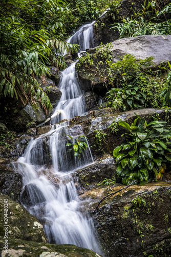 Rio De Janeiro Brazil Waterfall in Tijuca Forest