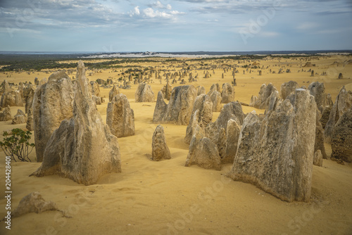 The Pinnacles Desert Australia with its amazing landscapes