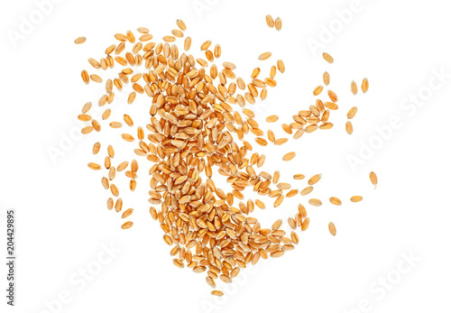 Wheat grains isolated on white background. Top view.