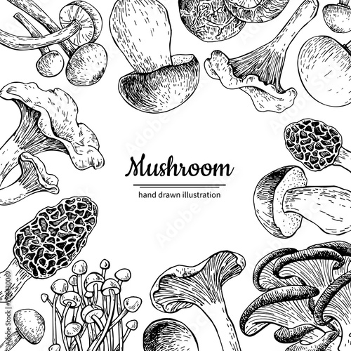 Mushroom hand drawn vector frame. Isolated Sketch organic food d