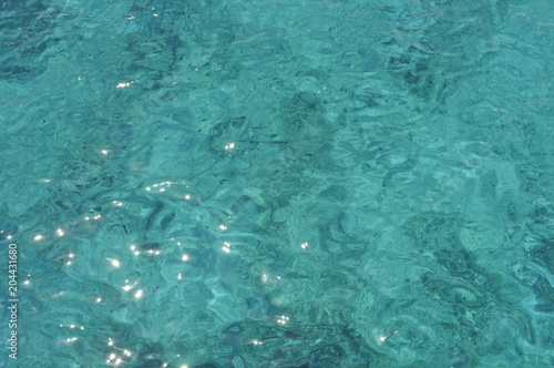 Water cyprys