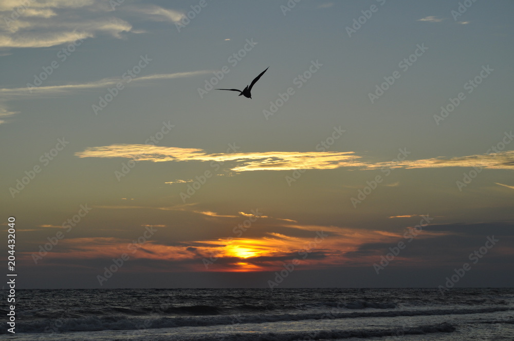 beutiful sea Sunset 