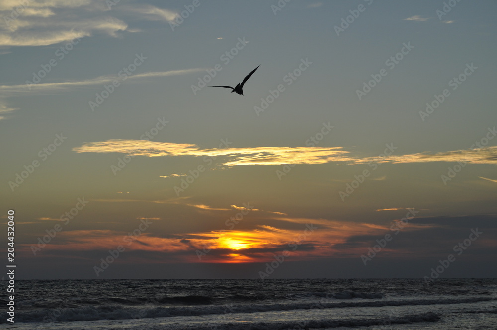 Fototapeta premium beutiful sea Sunset 