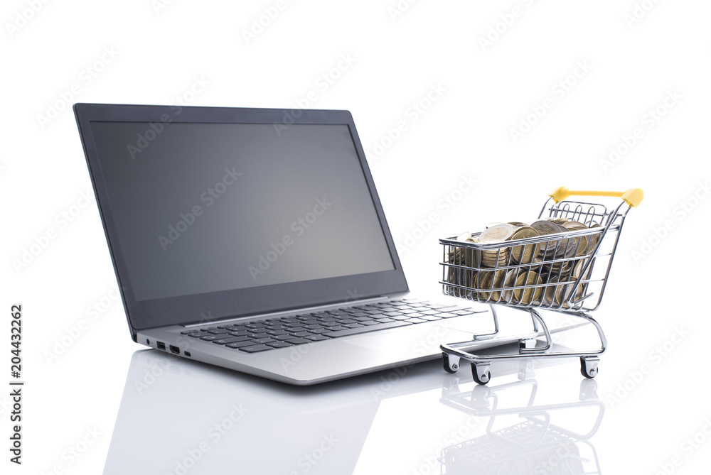 Shopping cart full of money and laptop