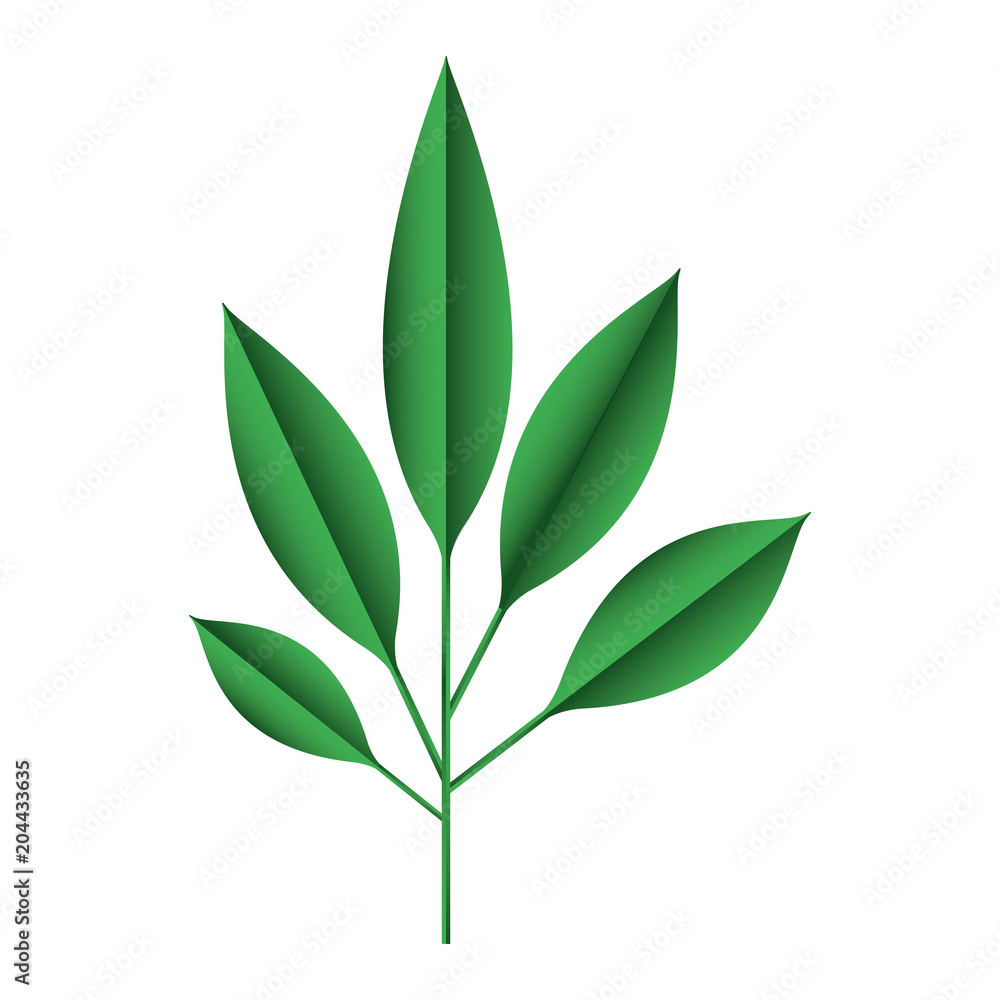 branch with leafs decorative icon vector illustration design