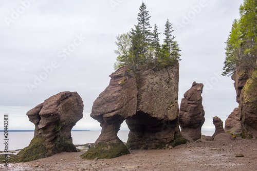 Hopewell Rocks in low tide in Hopewell Rocks Ocean Tidal Exploration Site, New Brunswick, Canada.