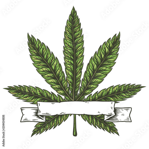 Cannabis leaf vector illustration.