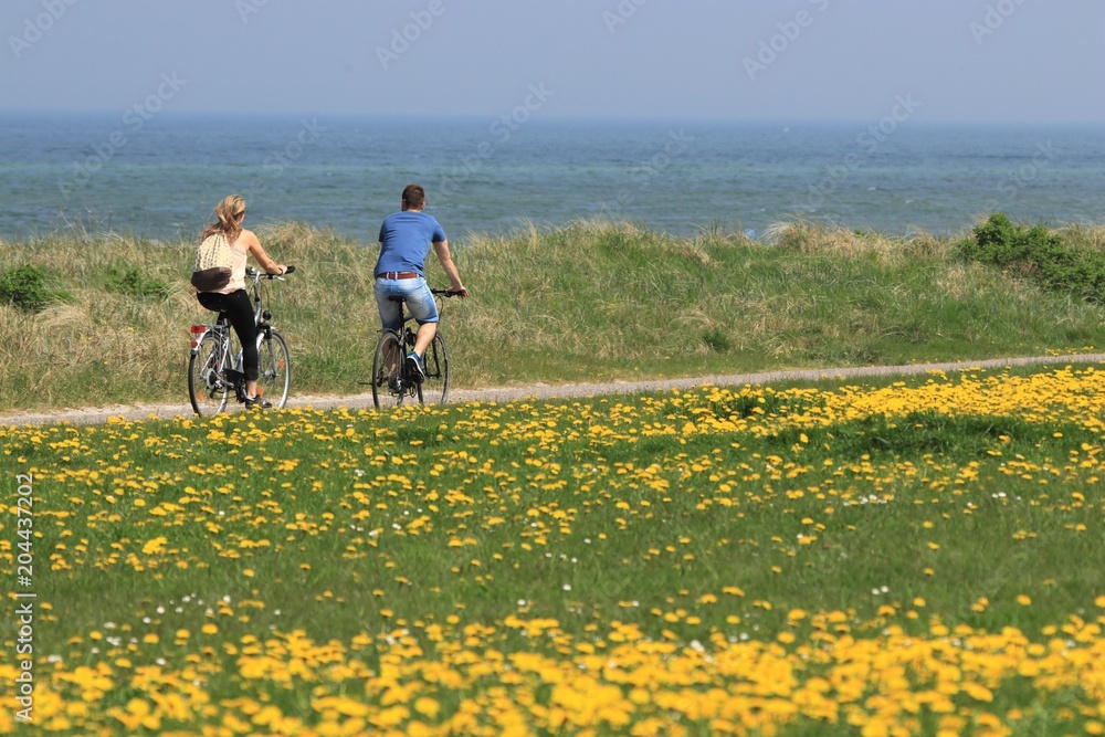 bike tour in springtime