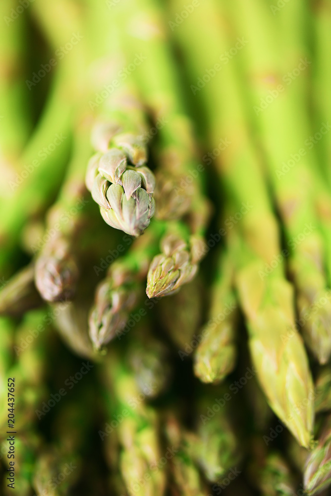 Close up of fresh asparagus. Clean and healthy eating concept. Macro texture of asparagus. Selective focus. Close up of fresh asparagus. Clean and healthy eating concept. Macro texture of asparagus. Selective focus.
