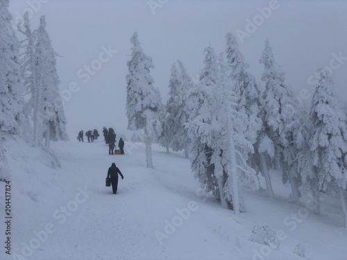 phone picture of a group of people with luggage traveling over a mountain covered in snow