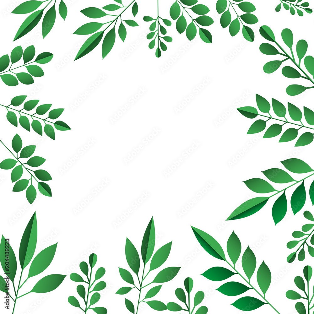 leafs plant frame pattern vector illustration design