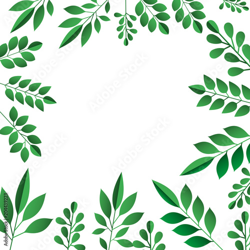 leafs plant frame pattern vector illustration design © grgroup