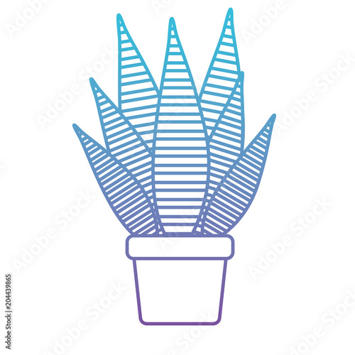 aloe plant in pot houseplant vector illustration design