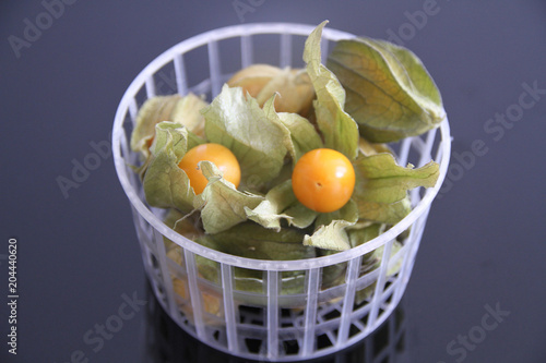 Physalis, Sao Paulo, Brasil  photo