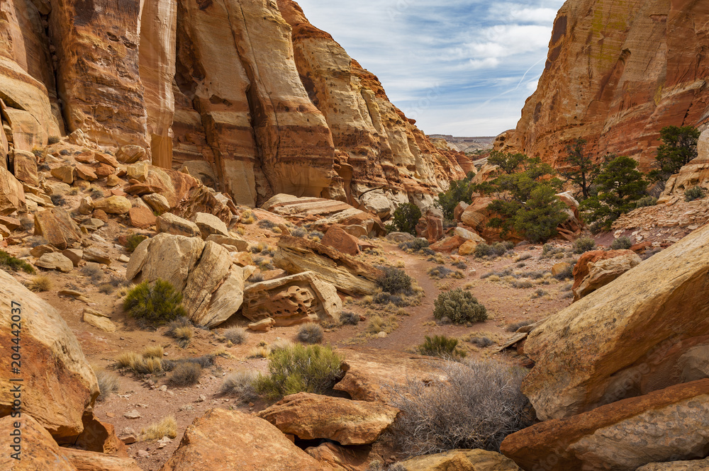 Cohab Canyon Trail, Capitol Reef National Park, Utah. Cohab Canyon’s speckled walls, towering fins, and thin slots are the main attraction in this scenic hike. 