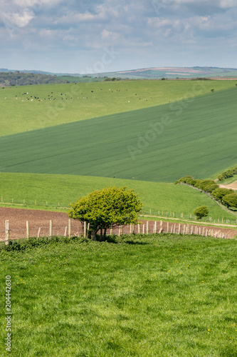 An idyllic Sussex patchwork landscape in springtime