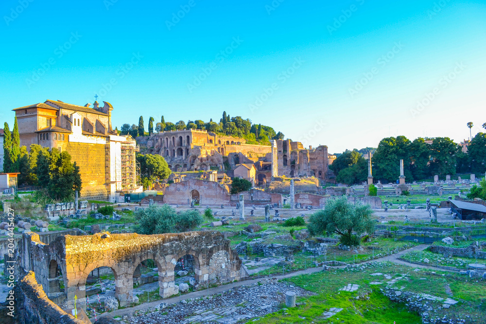 Roman Forum in Rome, Italy. Forum Romanum or Forum Magnum.