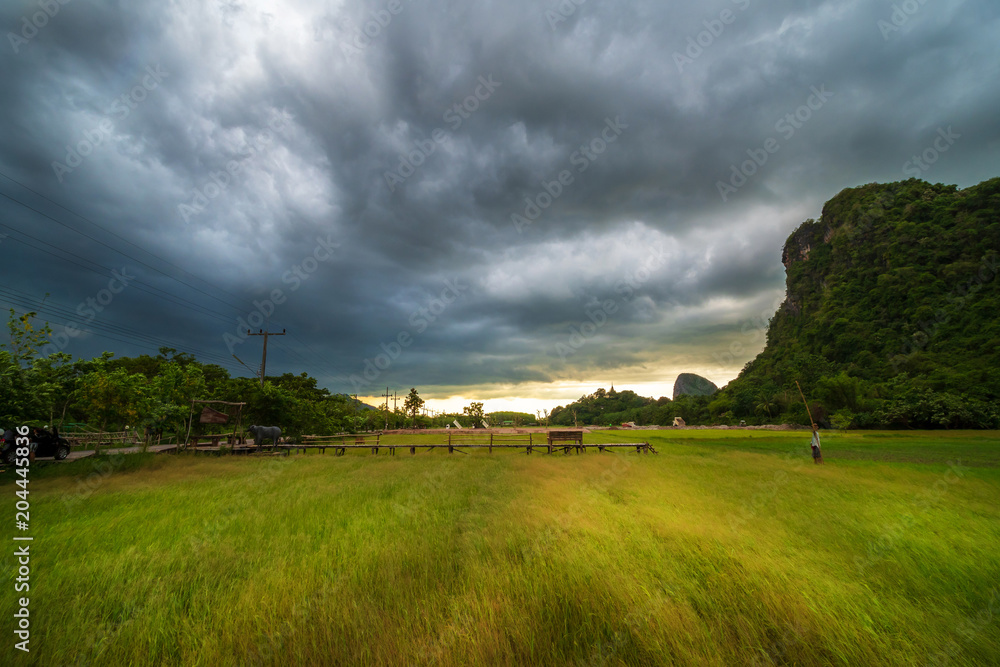 Rice fields, mountains and rain clouds Rice fields, mountains and rain clouds
