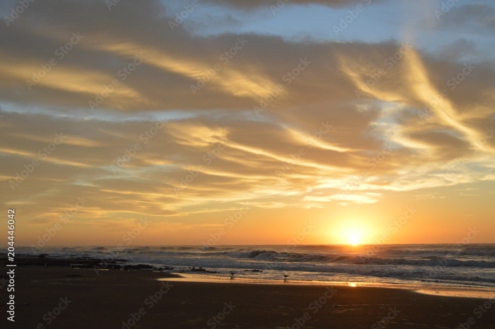 Fototapeta premium Amanecer y gaviotas