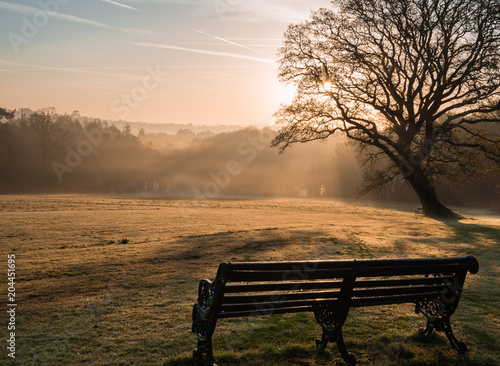Misty sunrise bench