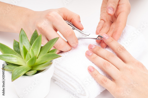 Hands care in the spa. Beautiful woman's hands with perfect manicure