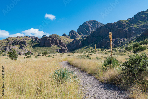 Desert landscape organ mountains national monument photo