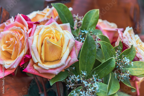 mulit-colored roses salmon to pink