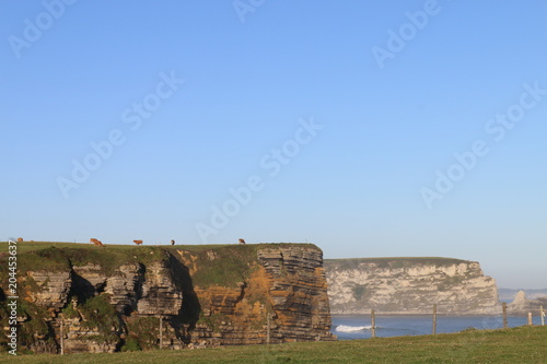 Fotografi craggy cape