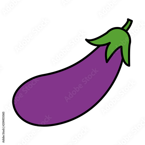color natural eggplant vegetable organic food