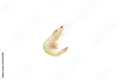 Black tiger shrimp on white background isolated with clipping path