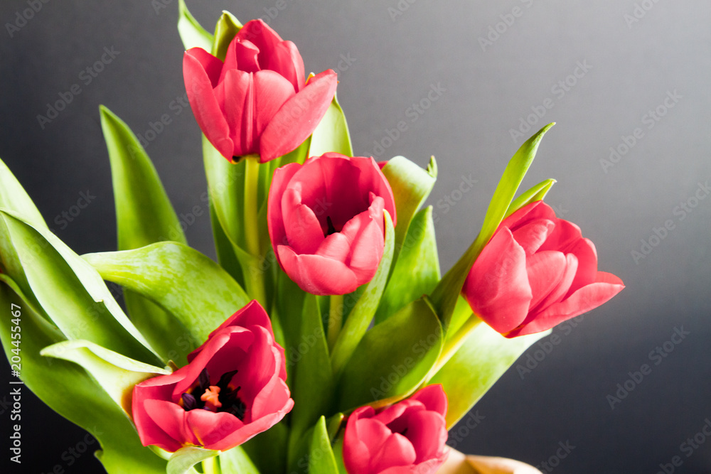Beautiful bouquet of red tulips in a paper bag over a dark background Beautiful bouquet of red tulips in a paper bag over a dark background