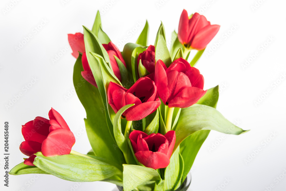 Beautiful bouquet of red tulips in a paper bag over a dark background Beautiful bouquet of red tulips in a paper bag over a dark background