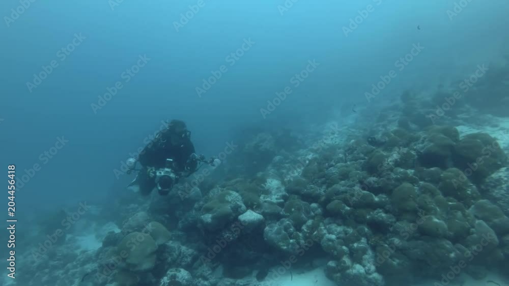 Underwater photographer drifts in a strong current next to coral reef - Indian Ocean, Maldives
Underwater photographer drifts in a strong current next to coral reef - Indian Ocean, Maldives