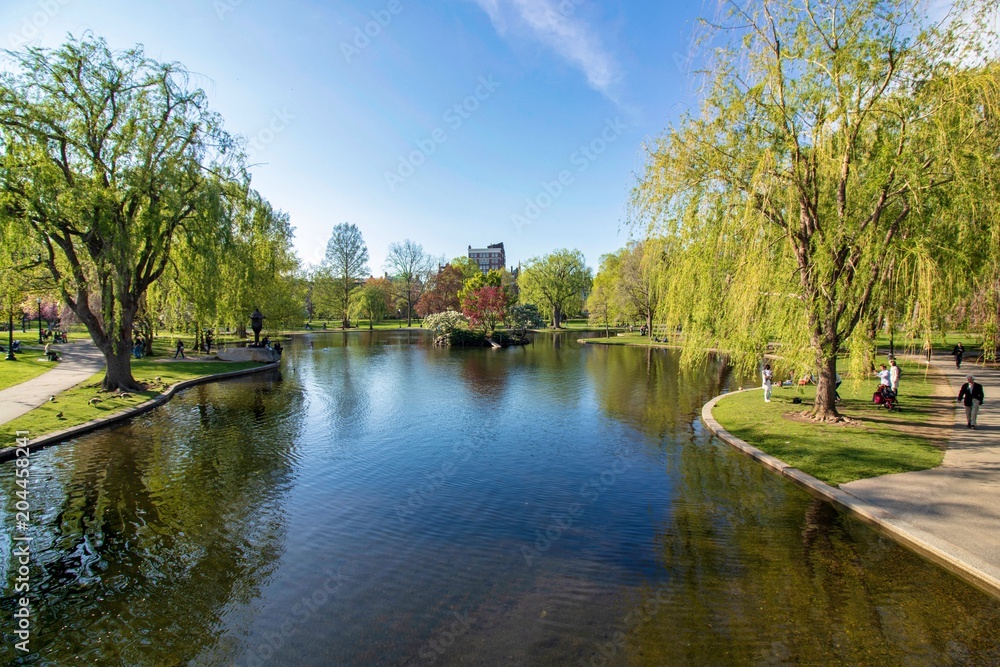 Obraz premium Beautiful spring day at Boston Common Park